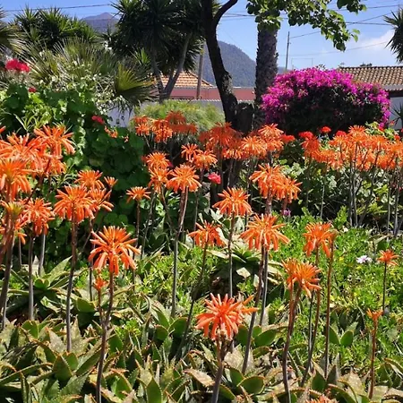 Primavera 公寓 埃尔帕索