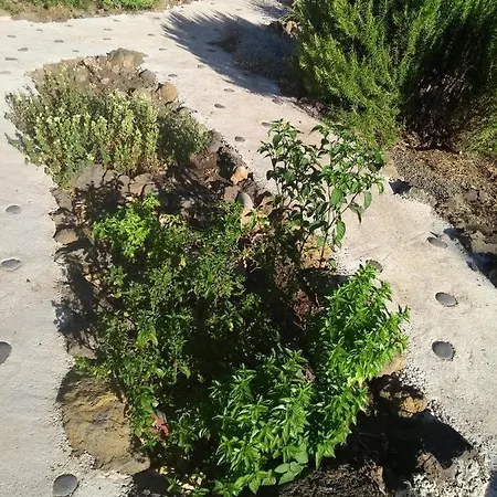 Primavera Lägenhet El Paso