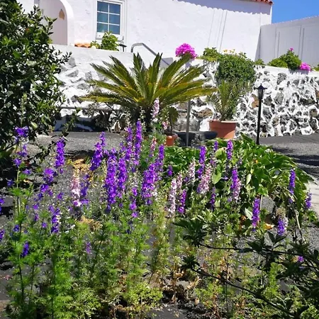 Primavera Эль-Пасо