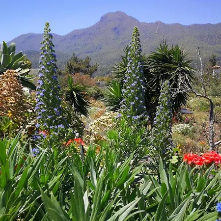 Primavera * El Paso