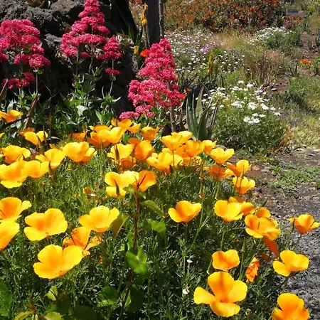 Primavera
