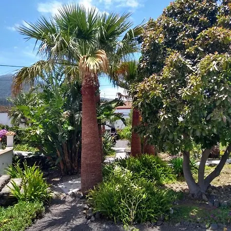 Апартаменты Primavera *