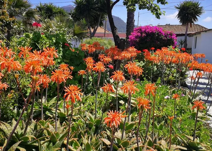 Primavera Appartement El Paso