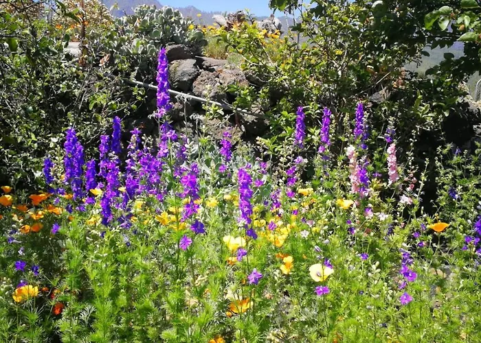 Primavera Appartement