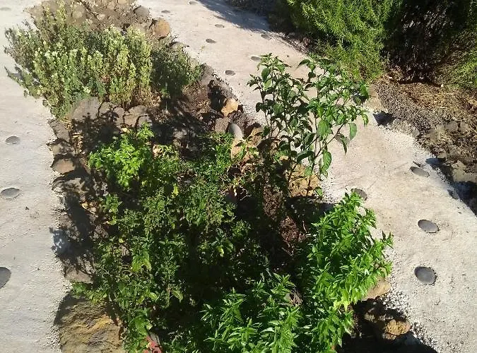 Primavera Appartement El Paso